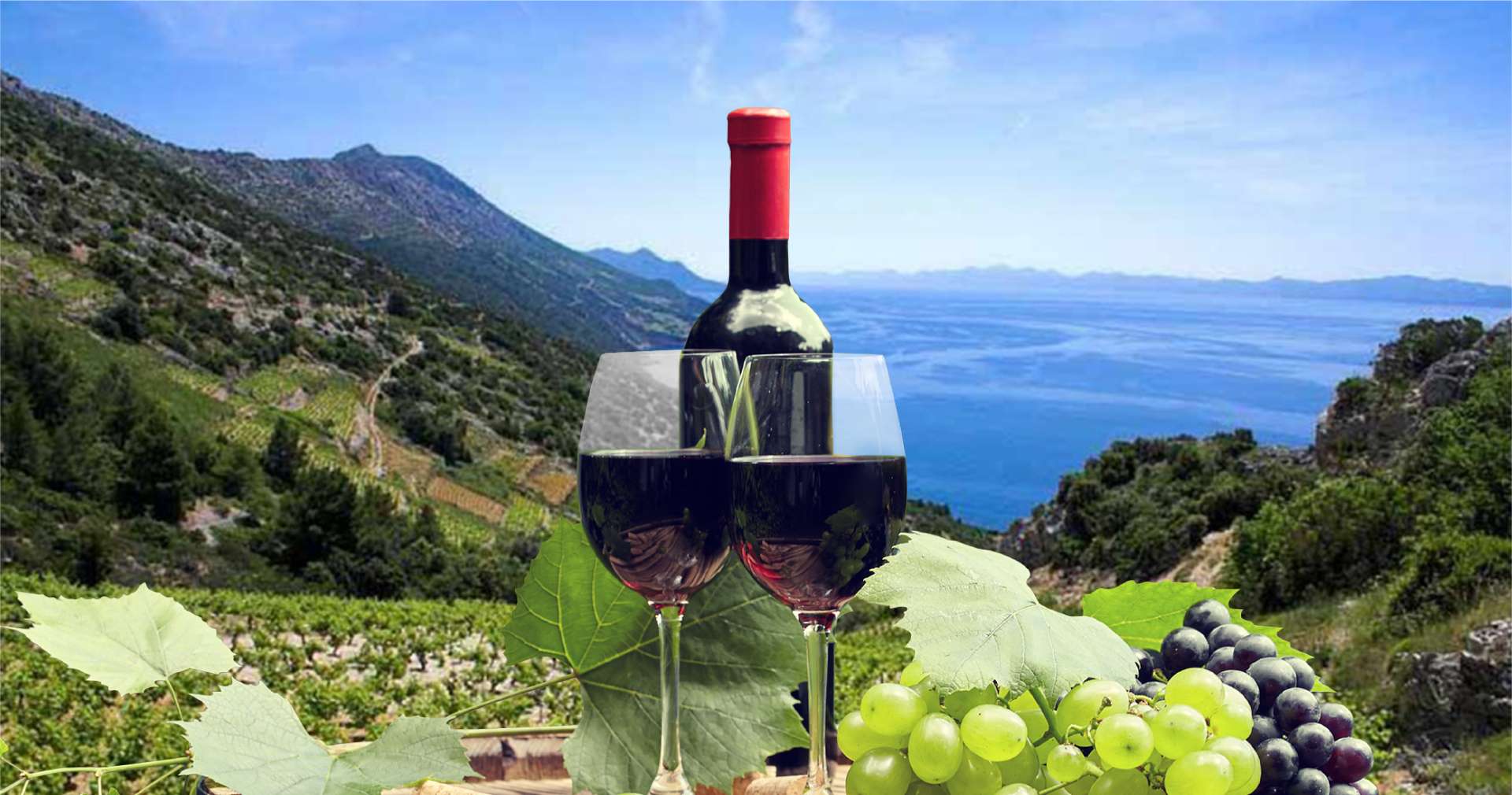 Premium Peljesac Private Wine Tour