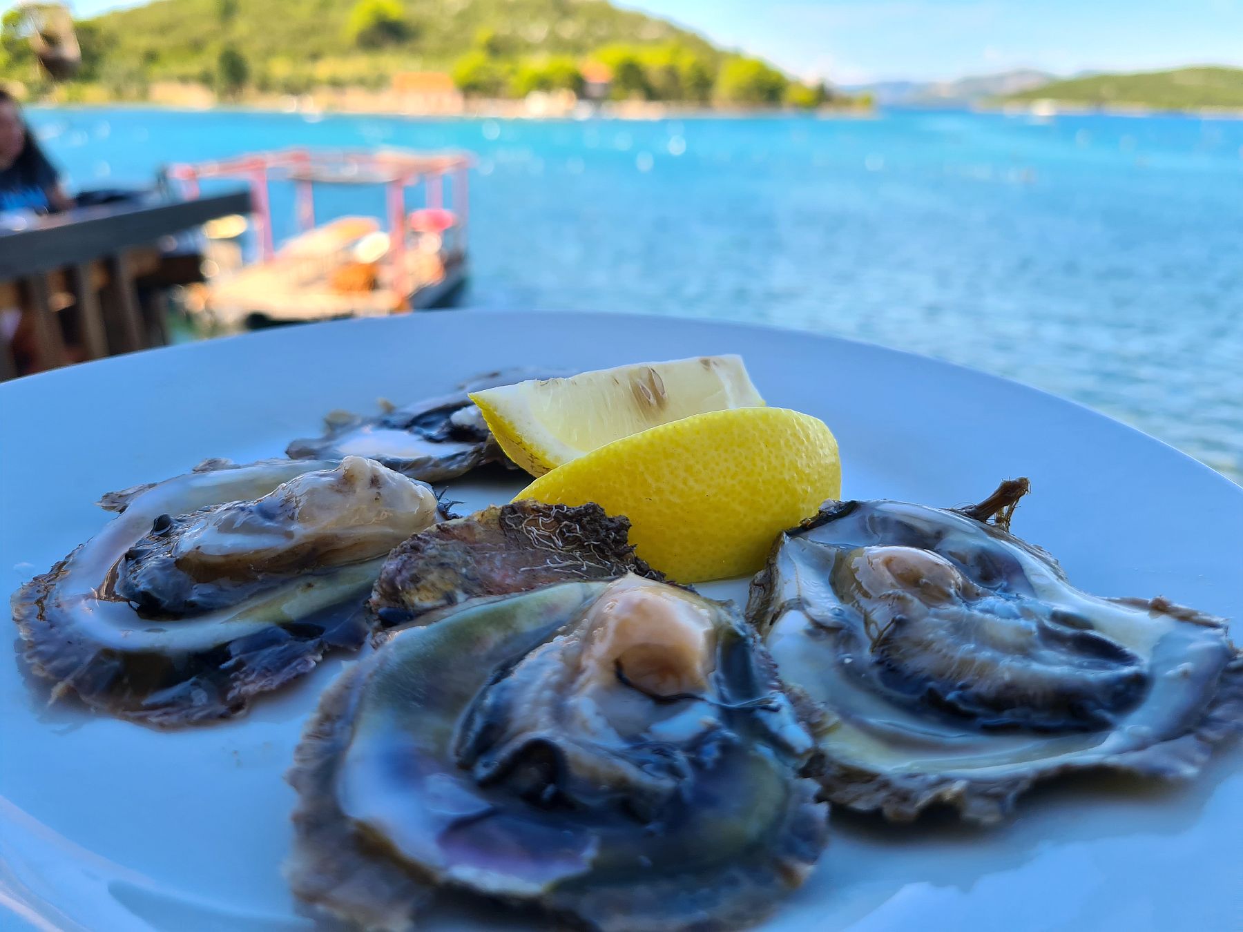 Ston oysters
